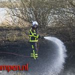 Groot stuk rietkraag in brand langs de IJssel