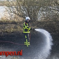Groot stuk rietkraag in brand langs de IJssel