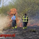 Opnieuw Rietbrand op Kampereiland