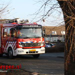 Pony redt zichzelf uit het water