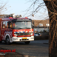 Pony redt zichzelf uit het water
