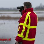 Hert in de problemen bij de IJssel