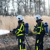 Groot stuk riet weggebrand aan de Venedijk
