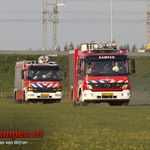 Paard te water langs de Hogeweg