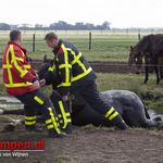 Brandweer redt paard uit water