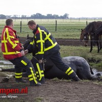 Brandweer redt paard uit water