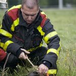 Jong paard te water Oosterlandenweg 