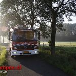Paard te water Trekvaart IJsselmuiden