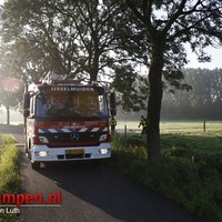 Paard te water Trekvaart IJsselmuiden