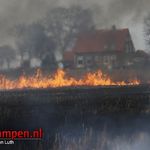 Groot stuk riet brand af langs Kamperzeedijk
