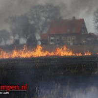 Groot stuk riet brand af langs Kamperzeedijk