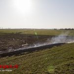 Rietbrand langs de Zwartendijk