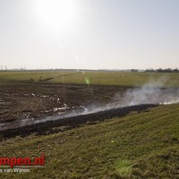 Rietbrand langs de Zwartendijk