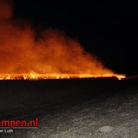 Grote rietbrand Grafhorst