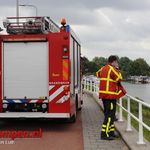 Hond te water in de IJssel
