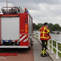 Hond te water in de IJssel
