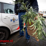 Hennepkwekerij in woning Dr. Damstraat ontruimd