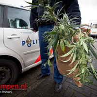 Hennepkwekerij in woning Dr. Damstraat ontruimd